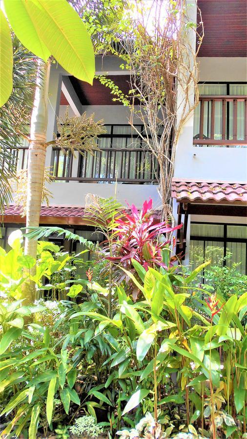 Resort Molek 3*